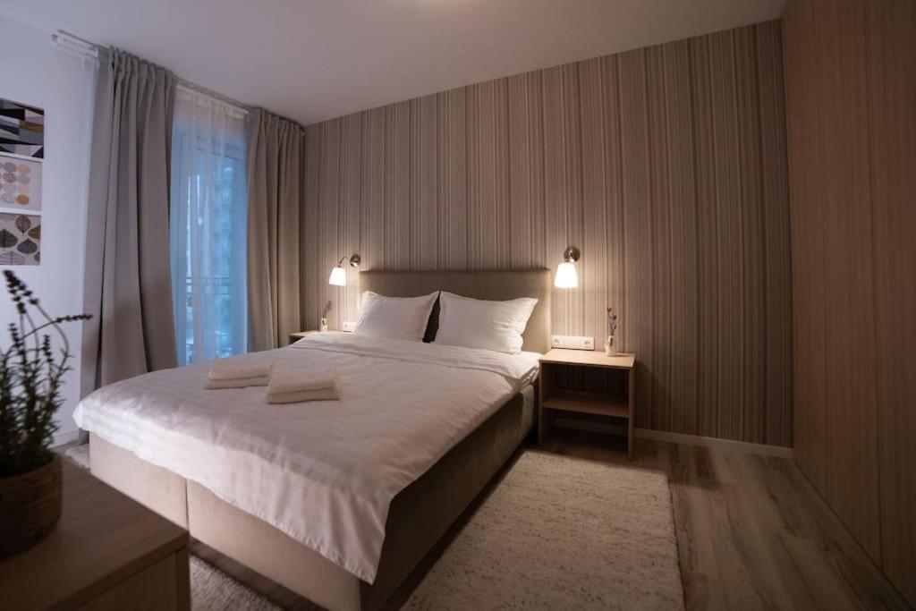 Carpe Diem Travel Timisoara Luaran gambar